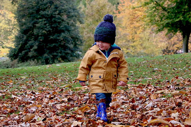Child Custody Factors - Boy in Autumn